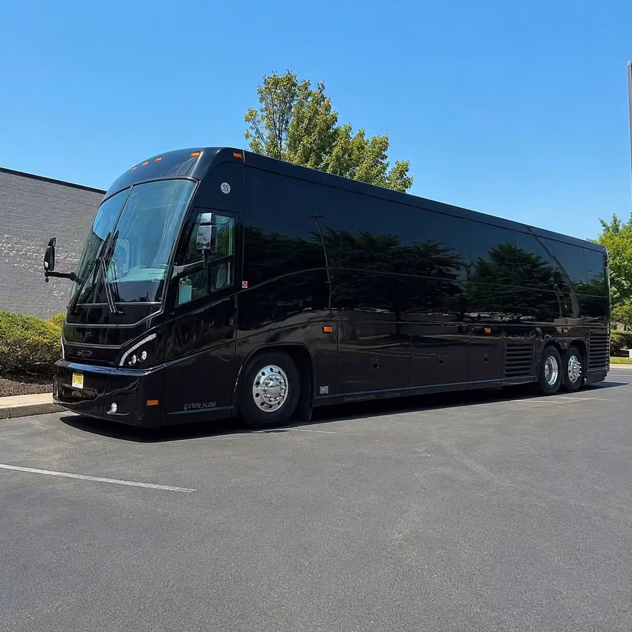 daphne buses