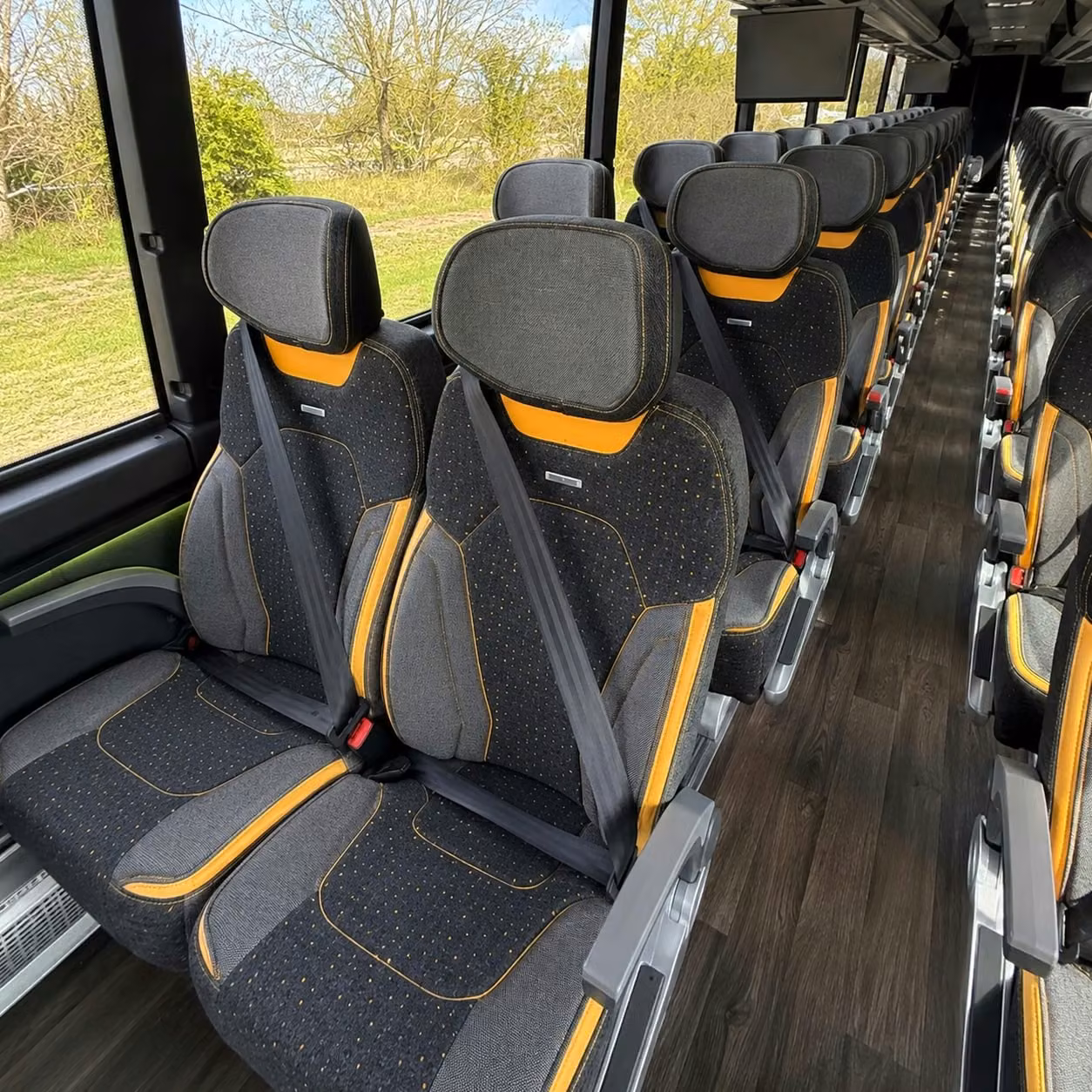 daphne charter bus interior 3