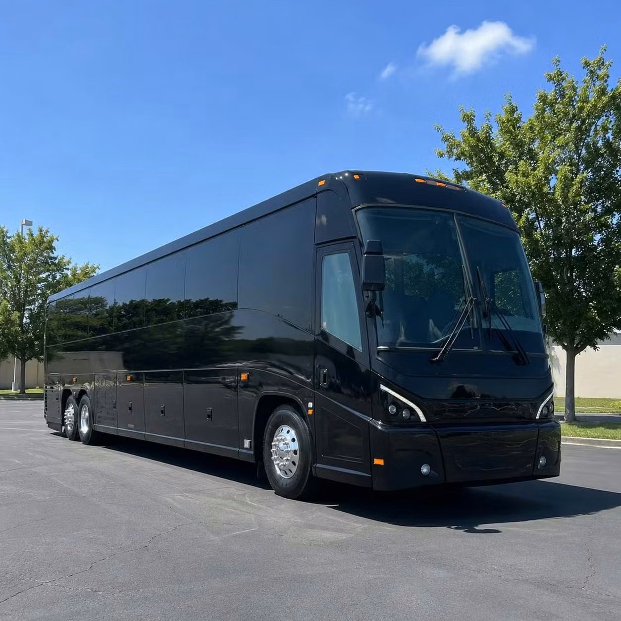 daphne private daphne charter buses for family vacations reunions and road trips