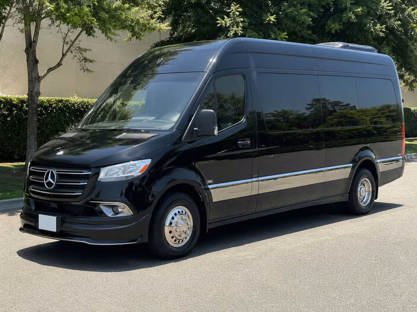 daphne sprinter van rental with driver
