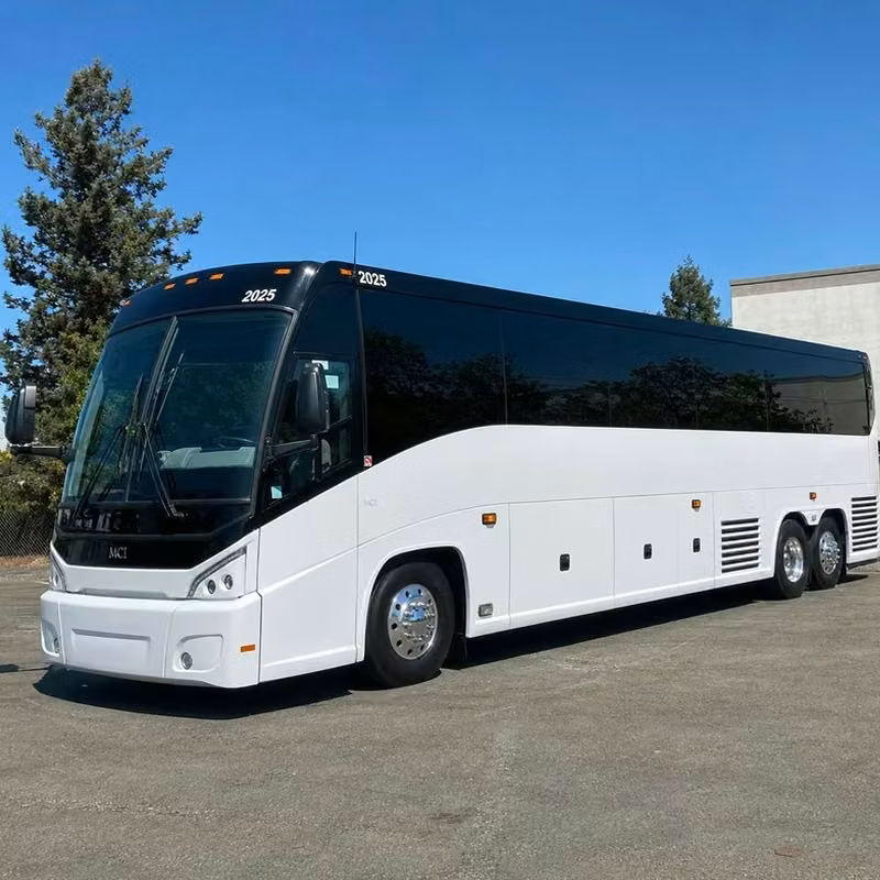 daphne stadiums charter bus guide