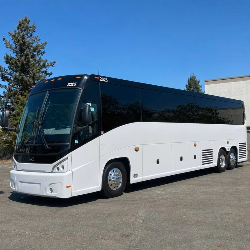 daphne stadiums charter bus guide